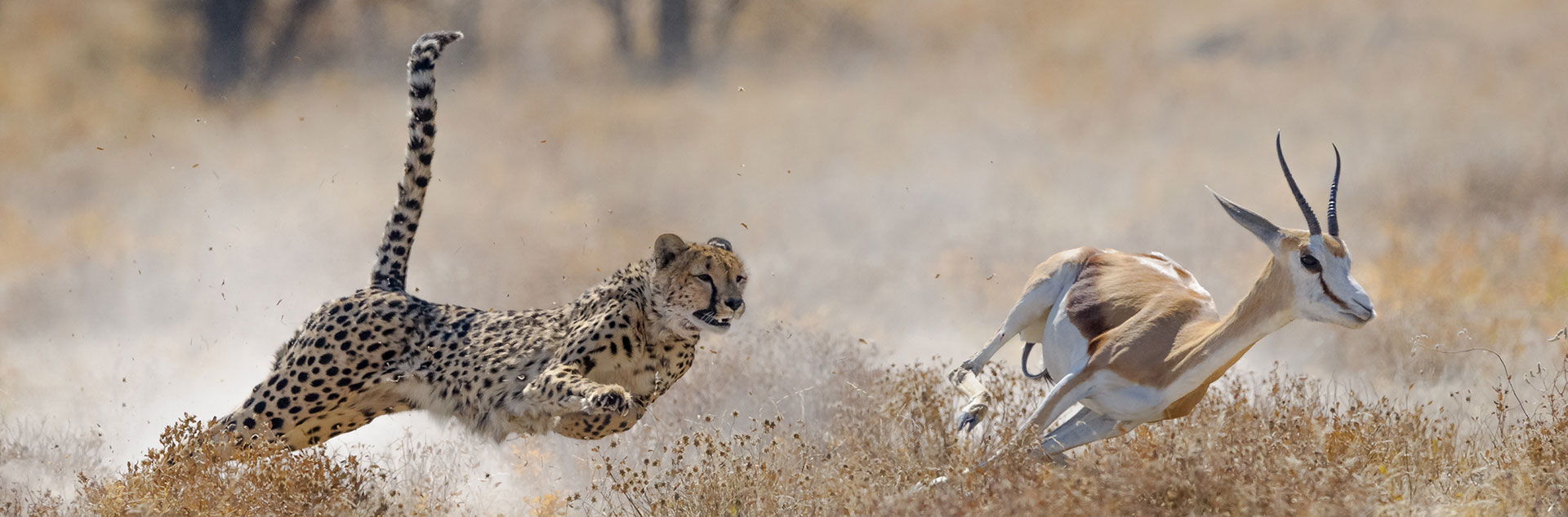 Nous assistons notre clientèle commerciale (les PME mais également certaines multinationales) dans toutes ses démarches juridiques.