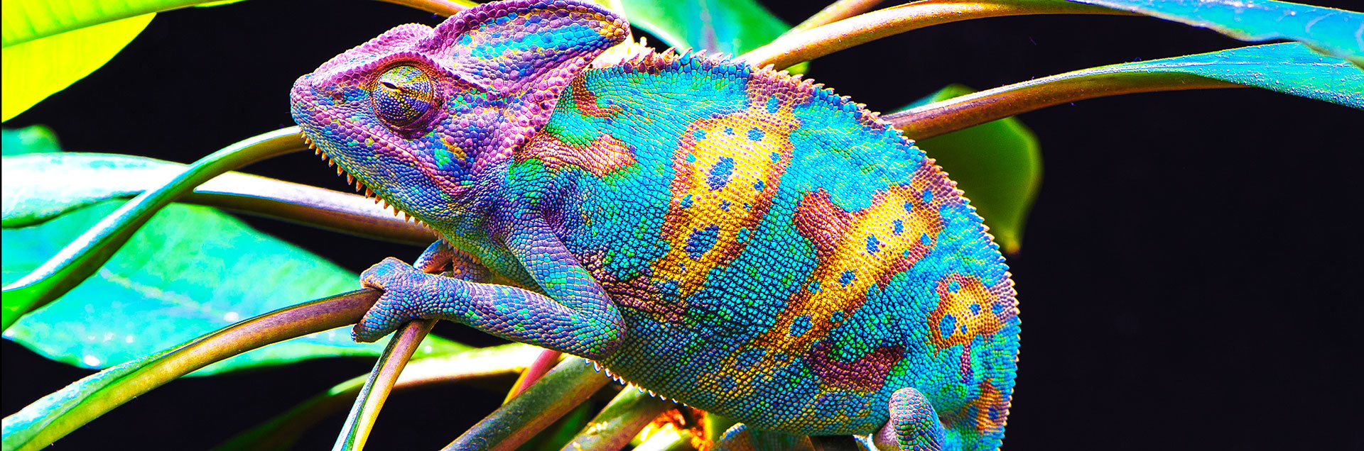 Les textes européens ont un impact en Suisse sur la clientèle commerciale.