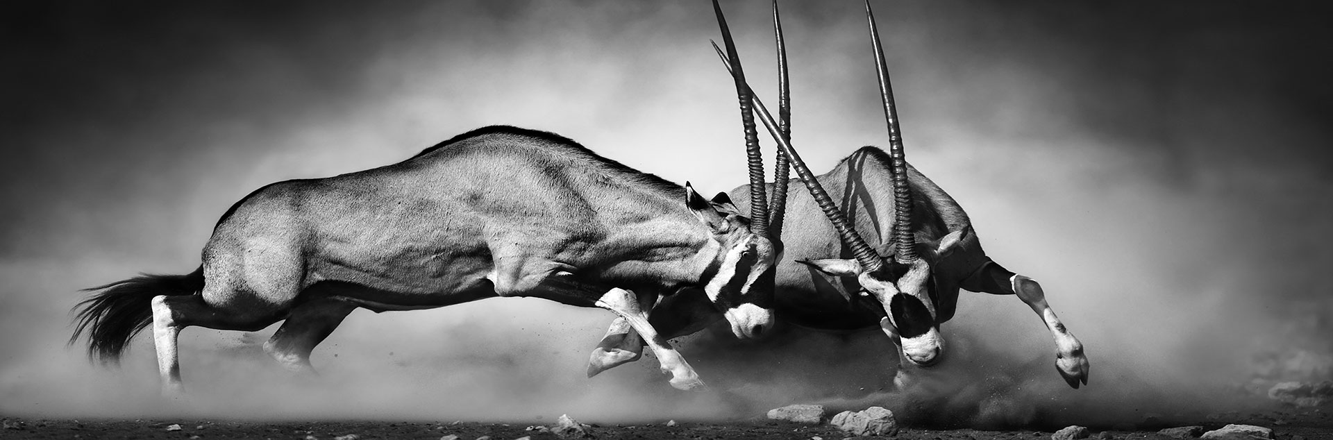 Aller en justice est souvent une démarche pesante et angoissante pour la clientèle privée. Il importe d’être bien conseillé.