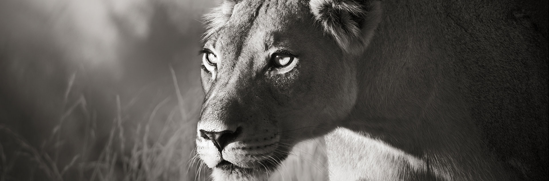 Notre clientèle privée se constitue de familles du monde entier.